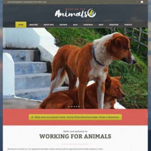 Working for Animals